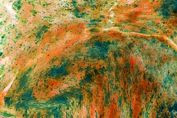 AP 71A1